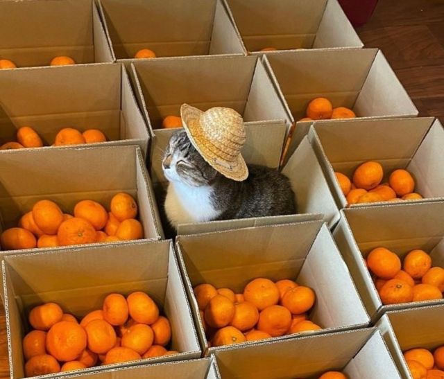 Us packing up all of the Thanksgiving leftovers to help eliminate food waste 😌

Comment your favorite leftover thanksgiving dish below 👇

📸: __s___o