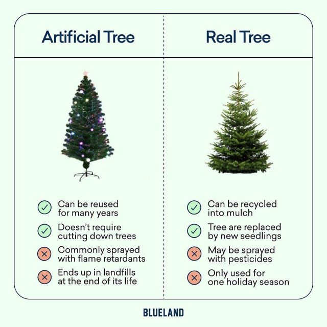 The Great Holiday (sustainability) Debate: Real or Fake? Every year, 95 million families in America put up a Christmas tree. 82% of those are artificial trees — but deciding which is the best choice depends on a couple of factors: how far you drive to get your tree, how long you use it, and how you dispose of it.

As you can see, the answer isn’t black and white. If you have an artificial tree, aim to use it for 10+ years. If you buy a real tree, buy locally to minimize the carbon footprint and compost or recycle it after the holiday.

What do you think is better? And, if you celebrate, what kind of tree are you putting up? 🌲